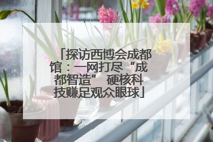 探访西博会成都馆：一网打尽“成都智造” 硬核科技赚足观众眼球